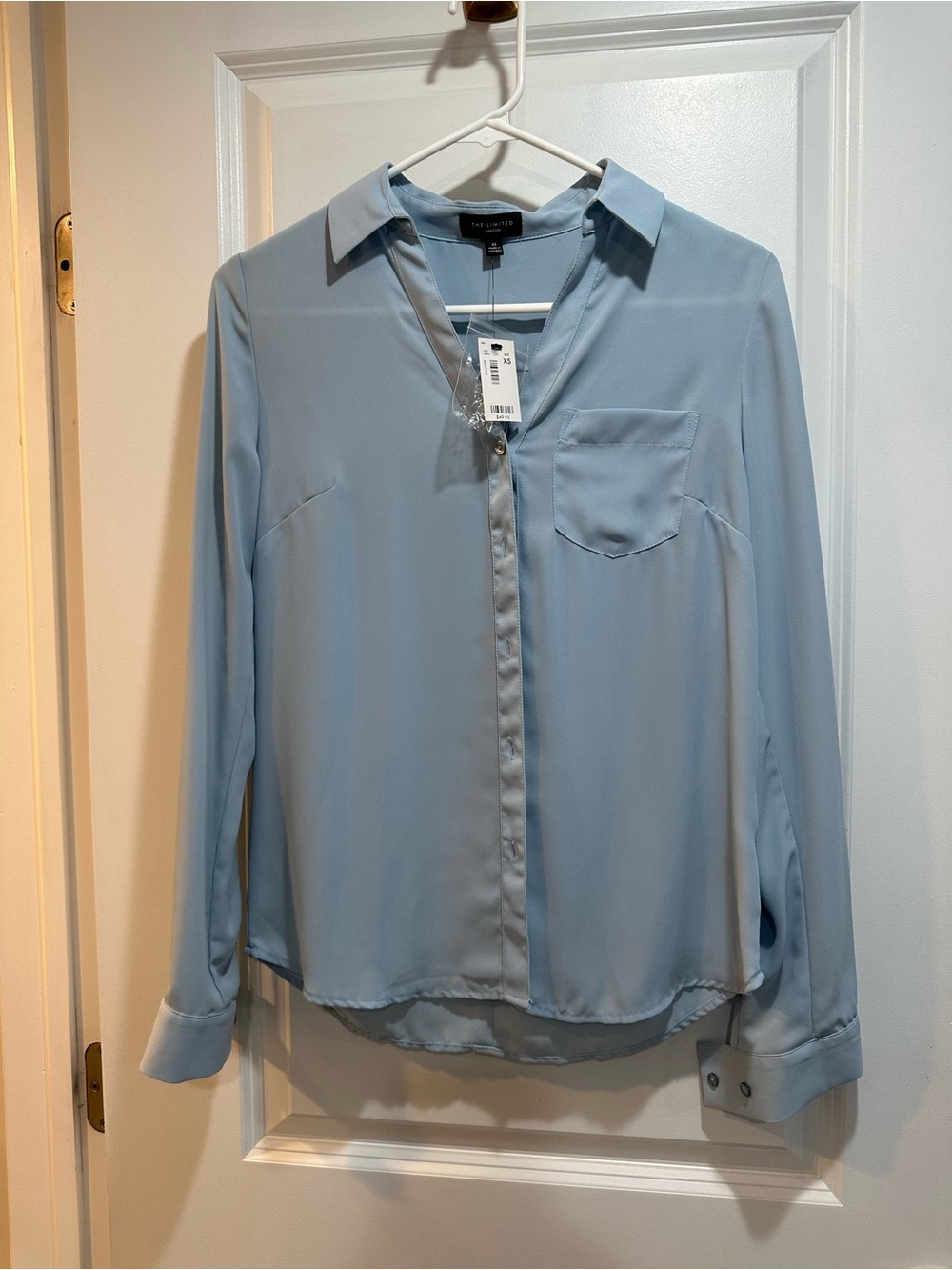 The Limited Soft Blue Button-Front Blouse